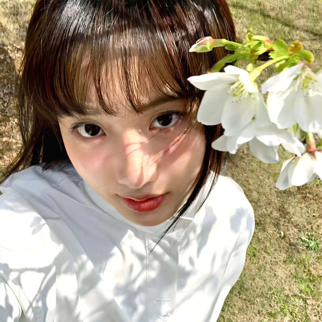 抢来的新娘